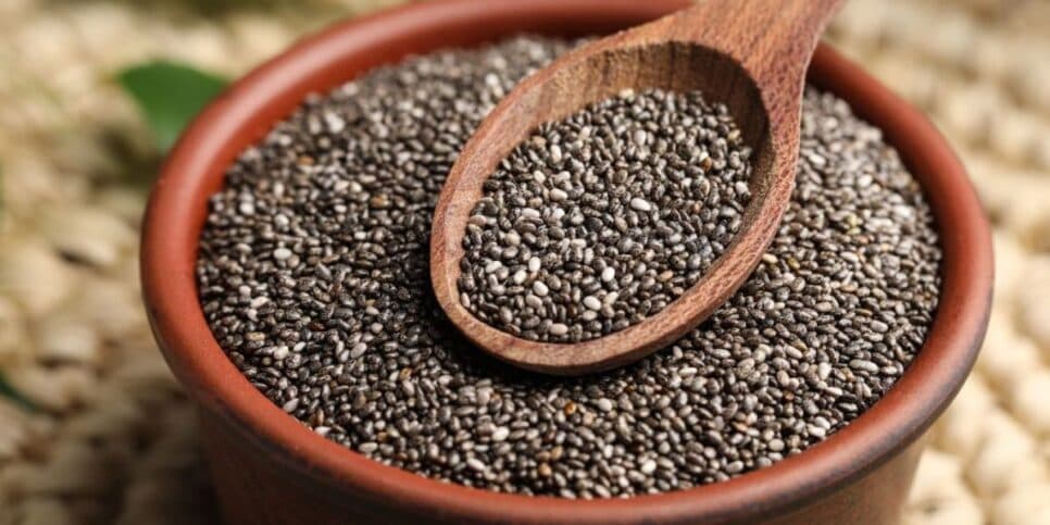 Semente de chia para aumentar a produção de colágeno (Reprodução: Divulgação)