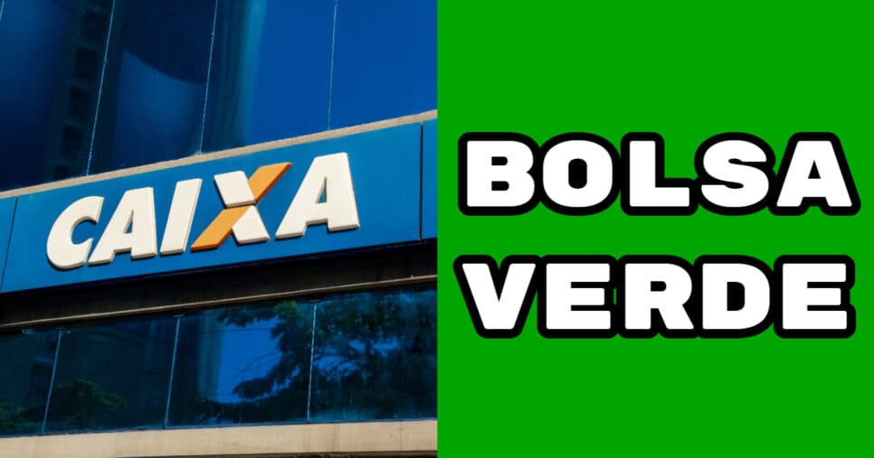 Como funciona o Bolsa Verde e quem tem direito ao pagamento da Caixa superior a R$500?