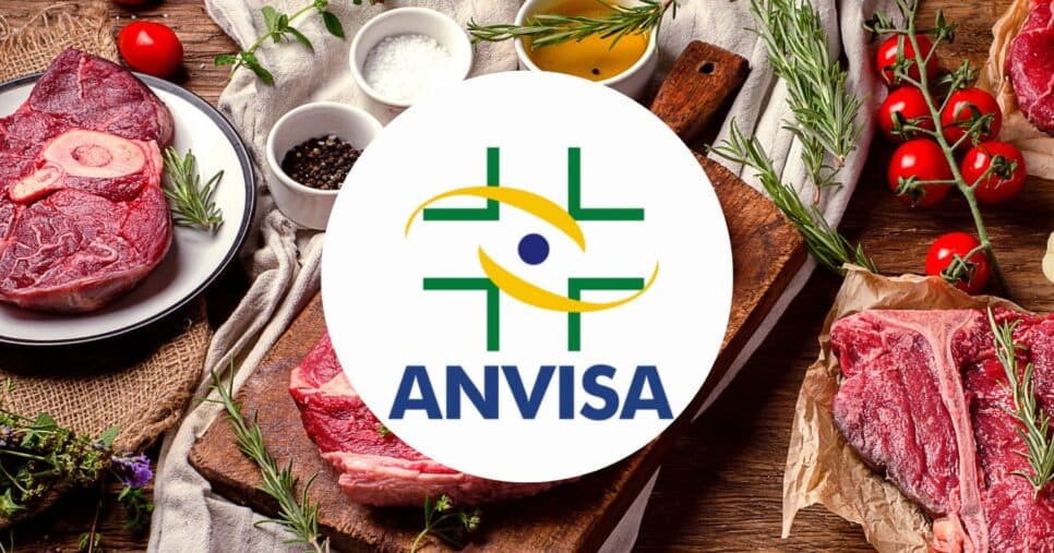 Informe da Anvisa: Veja como evitar a salmonella em carnes em 3 passos e fugir de fatalidades