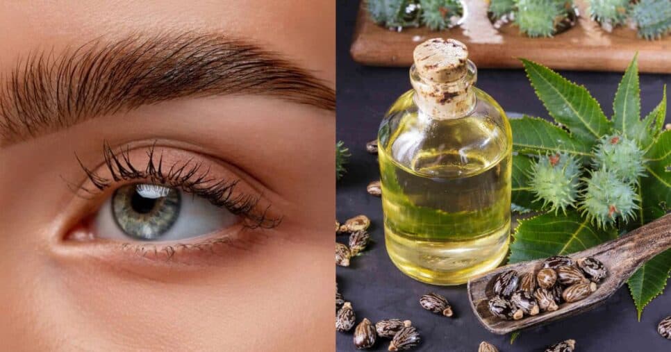 Como deixar as sobrancelhas mais cheias e sem falhas com único óleo natural