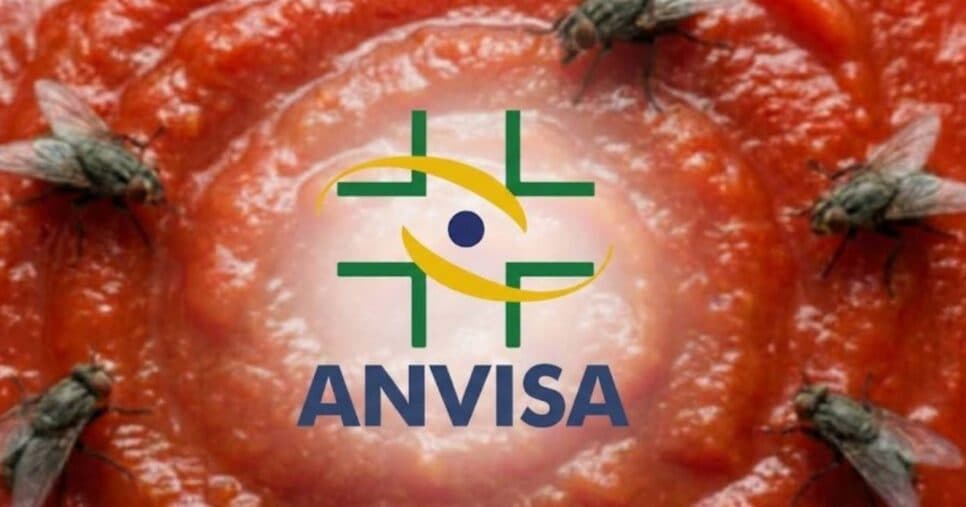 Pelo de rato, mosca e barata: Lei da Anvisa informa 3 produtos populares que podem conter insetos
