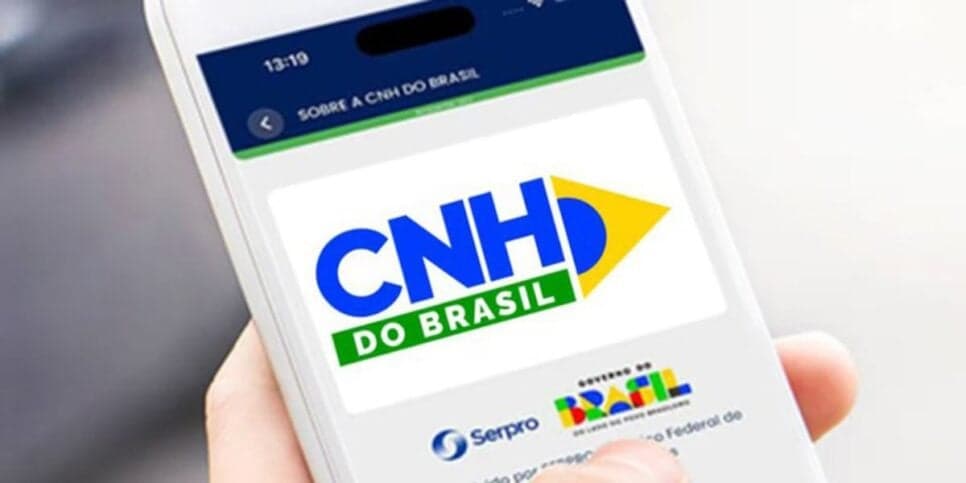 Golpistas criaram um site semelhante ao do CNH do Brasil (Reprodução: Divulgação)