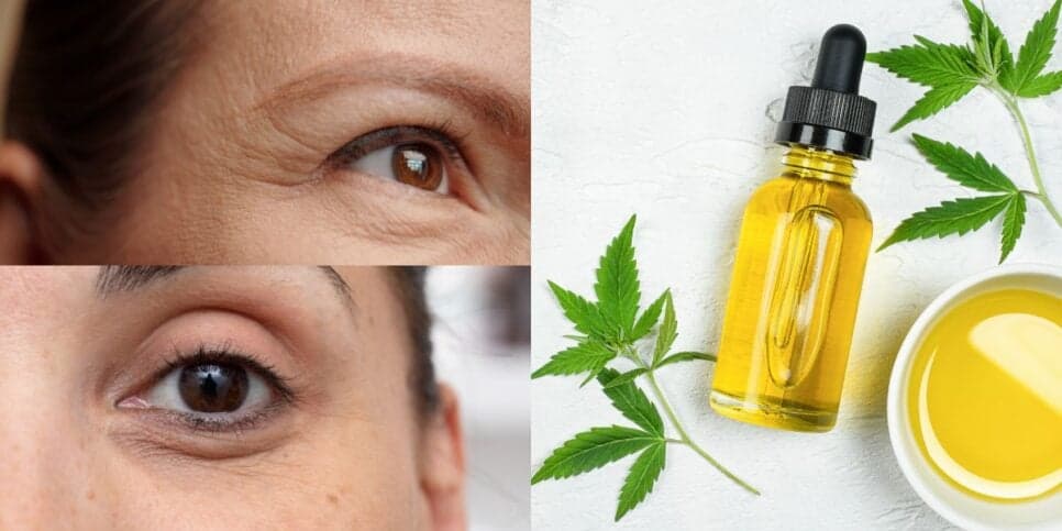 Pele lisinha e jovem depois dos 50: Qual óleo natural acaba com rugas, manchas e olheiras
