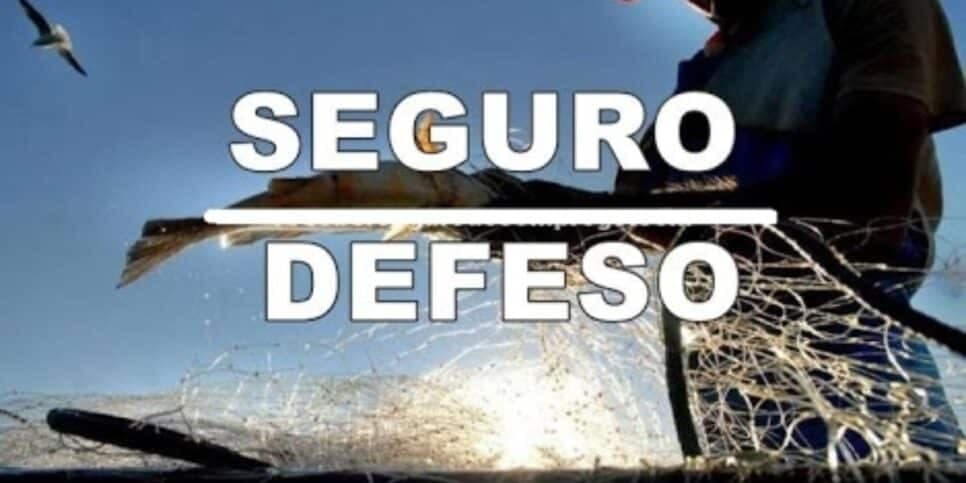 Seguro Defeso garantido aos pescadores (Reprodução: Divulgação)