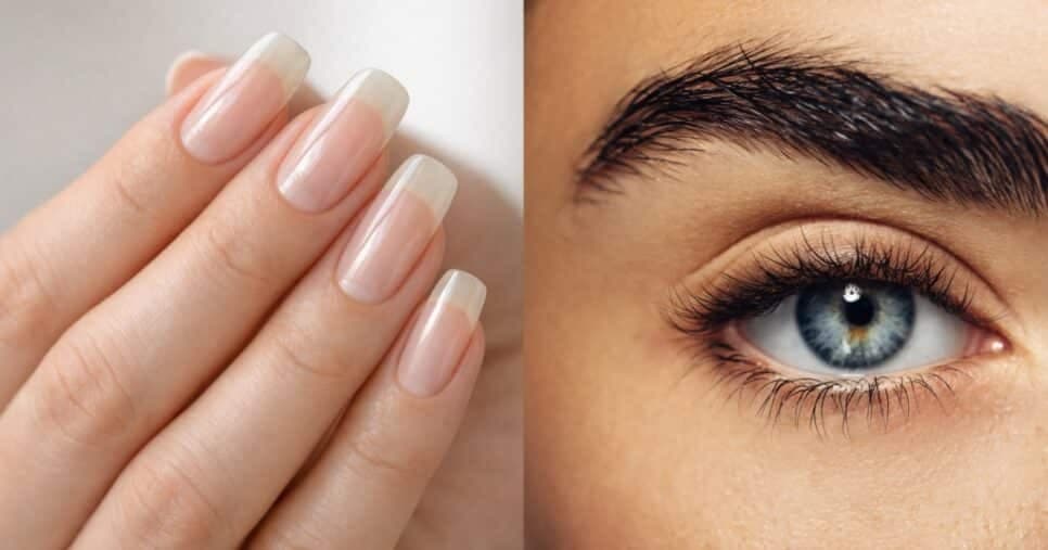 Dica de como usar 2 óleos para deixar unhas grandes e sobrancelhas cheias