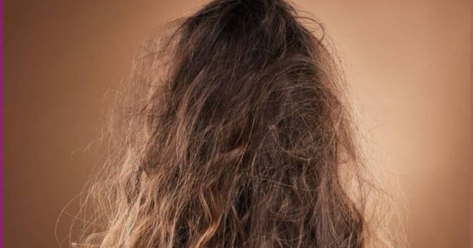 Essas são as três dicas que irão deixar seu cabelo impecável e longe do frizz (Foto: Divulgação)