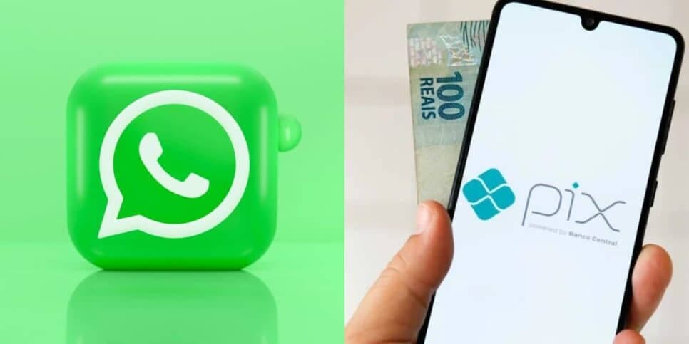 Adeus gratuidade? WhatsApp libera serviço extraordinário a quem pagar ao app