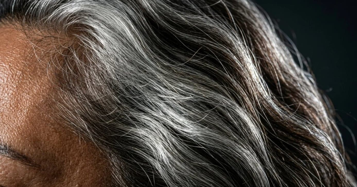 Cabelo grisalho (Foto: Divulgação)