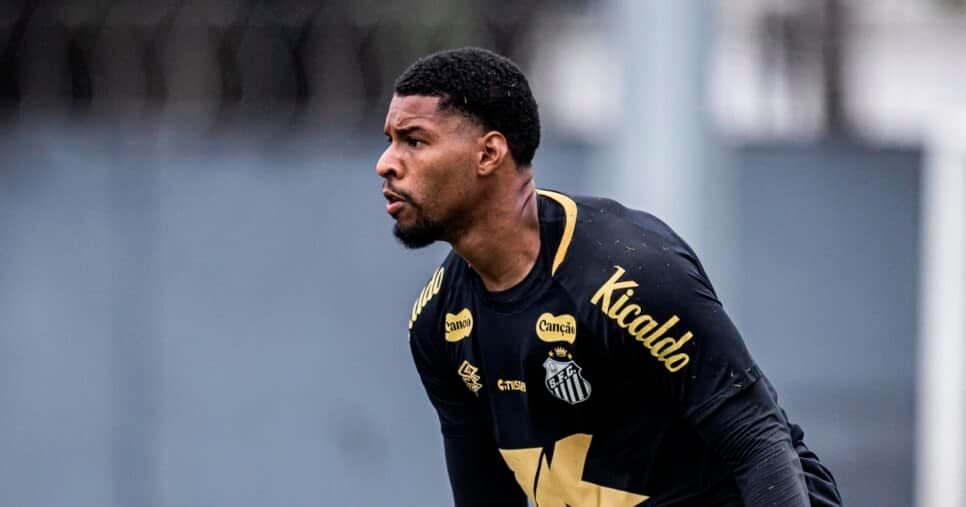 Goleiro Diógenes - Santos (Foto: Reprodução)