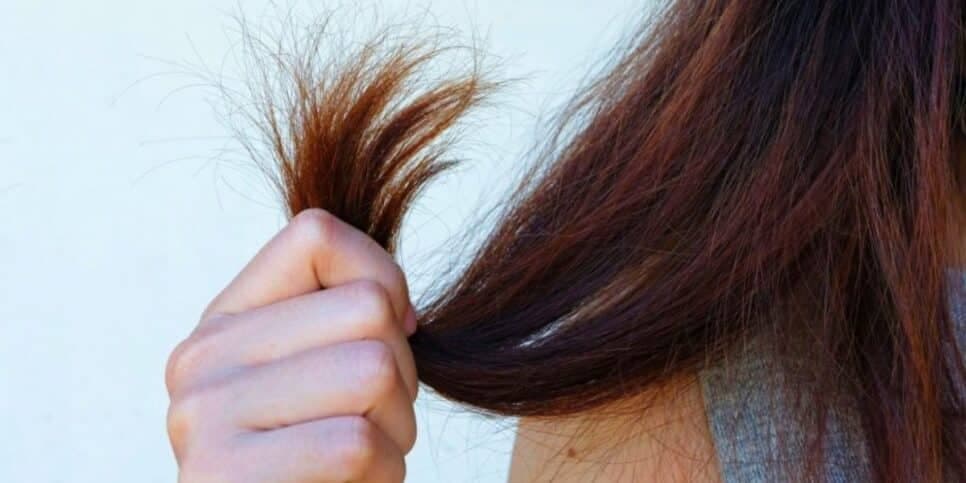 Evite que seu cabelo fique ressecado com essas dicas (Reprodução: Divulgação)