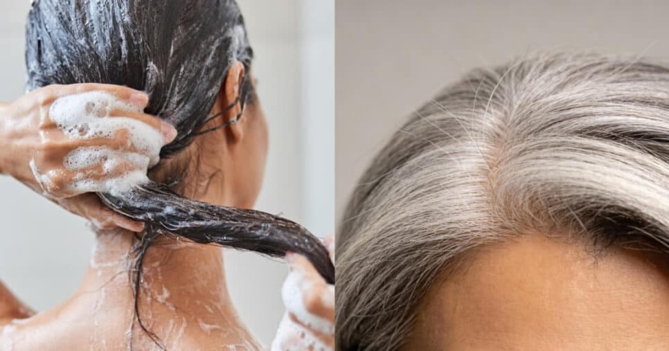 Shampoo para reverter cabelos grisalhos (Foto: Divulgação)