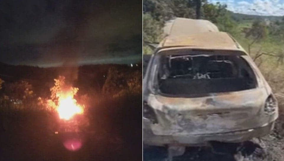 Carro roubado de pastor italiano (Foto: Reprodução / Instagram)
