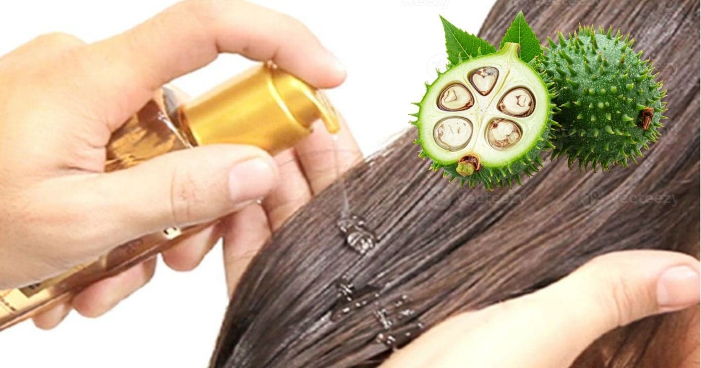 Como usar óleo natural para acelerar o crescimento do cabelo e acabar de vez com o frizz