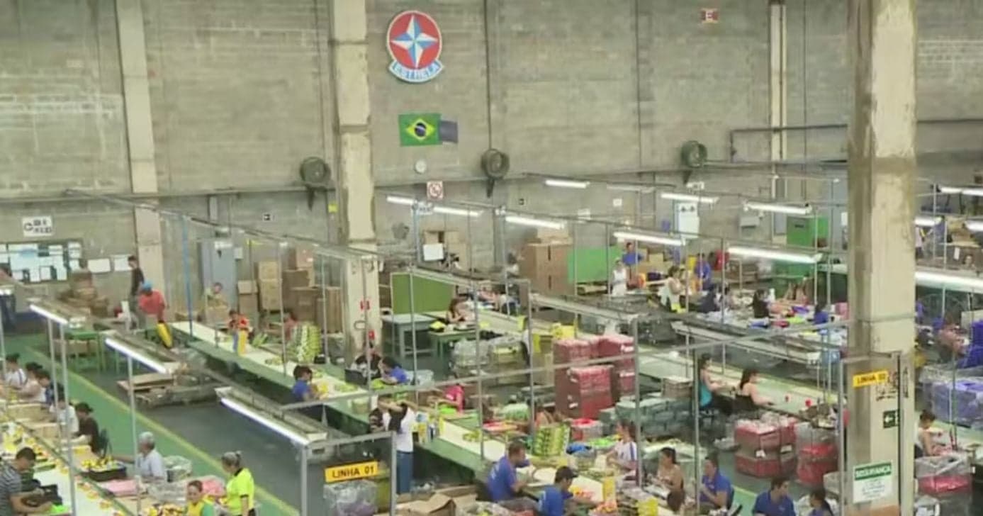 Fábrica da Estrela (Foto: Reprodução/EPTV) Fábrica da Estrela (Foto: Reprodução/EPTV)