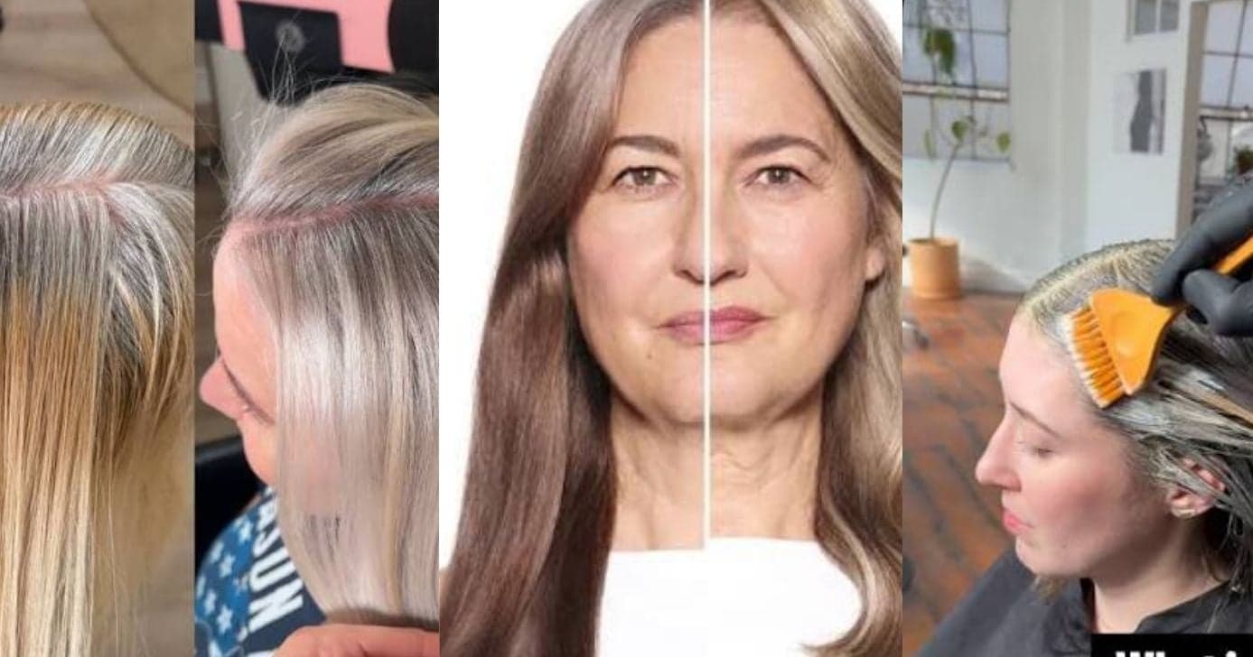 French Blending é uma técnica suave que rejuvenesce os fios sem a agressão das tintas com amônia (Foto Reprodução/Montagem/TV Foco/Lennita/Pinterest/Instagram/ L'Oréal) French Blending é uma técnica suave que rejuvenesce os fios sem a agressão das tintas com amônia (Foto Reprodução/Montagem/TV Foco/Lennita/Pinterest/Instagram/ L'Oréal)