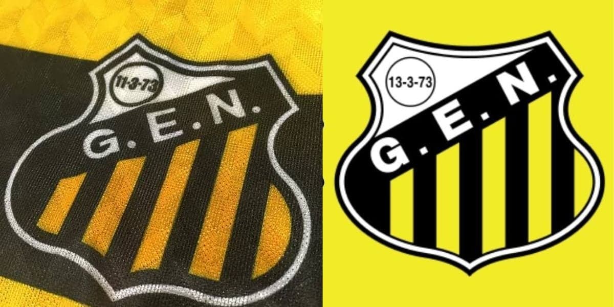 Grêmio Esportivo Novorizontino decretou falência em 1999 (Reprodução: Montagem TV Foco)