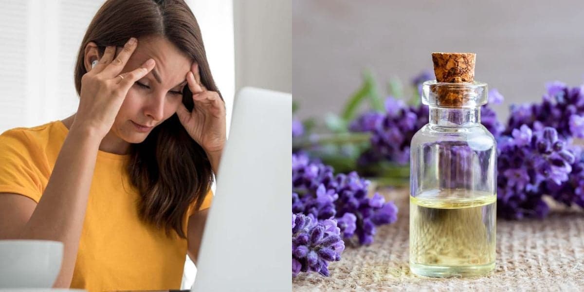 Estresse? Como usar óleo essencial para deixar a rotina leve e relaxante