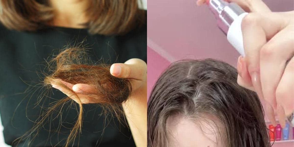 Queda de cabelo: Cabeleireira revela 5 tônicos para fortalecer os fios