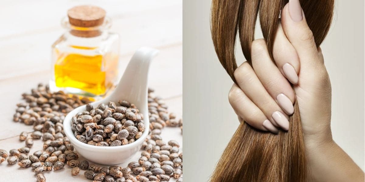 Cabelo hidratado: Como passar óleo de rícino sem deixar fios lisos oleosos