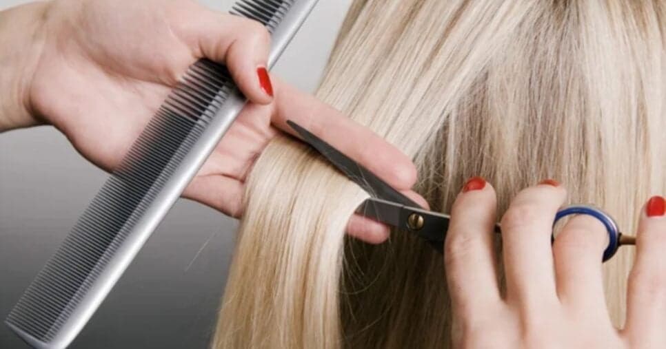 5 cortes de cabelo modernos trazem volume imediato 5 cortes de cabelo modernos trazem volume imediato