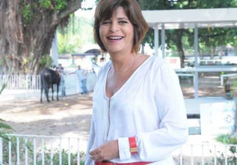 A autora de novelas Cristianne Fridman, (Foto: Divulgação) A autora de novelas Cristianne Fridman, (Foto: Divulgação)