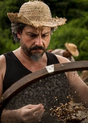 ‘‘Império’’: Após ‘‘ressuscitar’’, Comendador decide trabalhar em garimpo