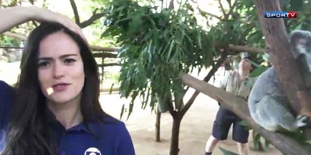 Animal faz cocô na cabeça de repórter do SporTV durante programa ao vivo; veja o vídeo