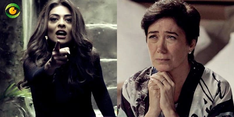 a força do querer a força do querer