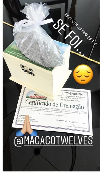 Imagem do post Imagem do post