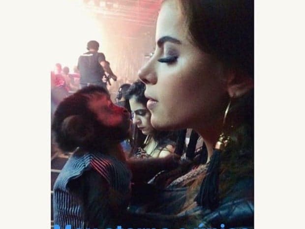 Imagem do post Imagem do post