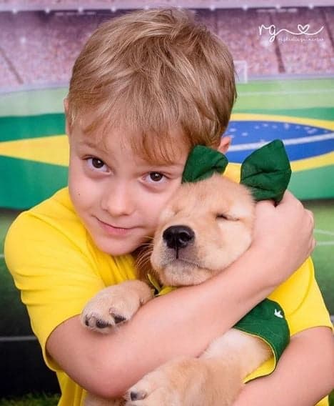 Imagem do post Imagem do post