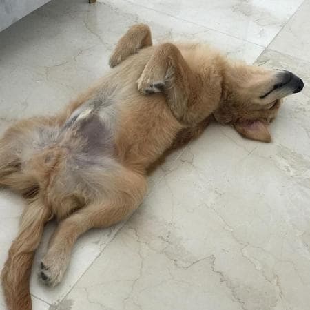 Imagem do post Imagem do post