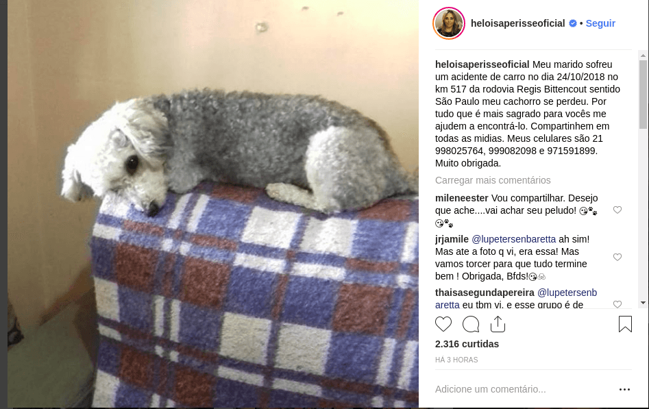 Imagem do post Imagem do post