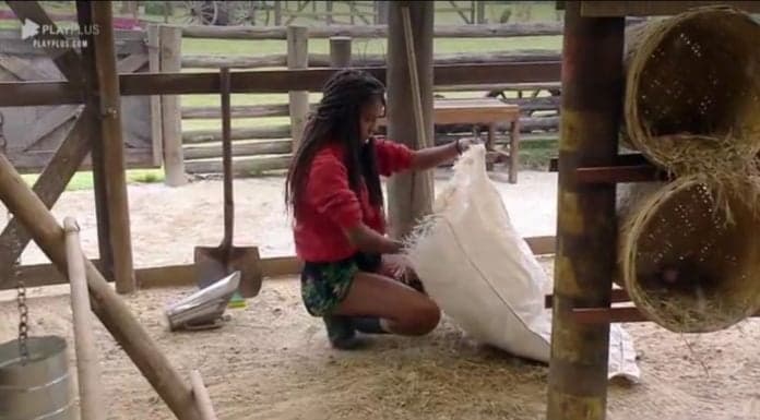 Imagem do post Imagem do post