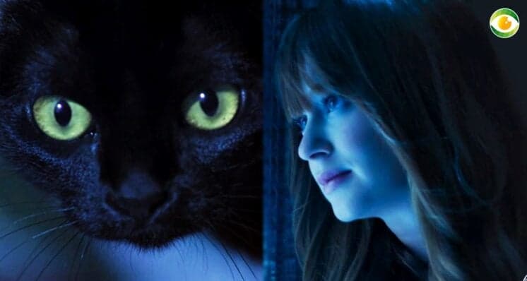 Mistério em O Sétimo Guardião é desvendado: Luz da Lua é filha do gato León