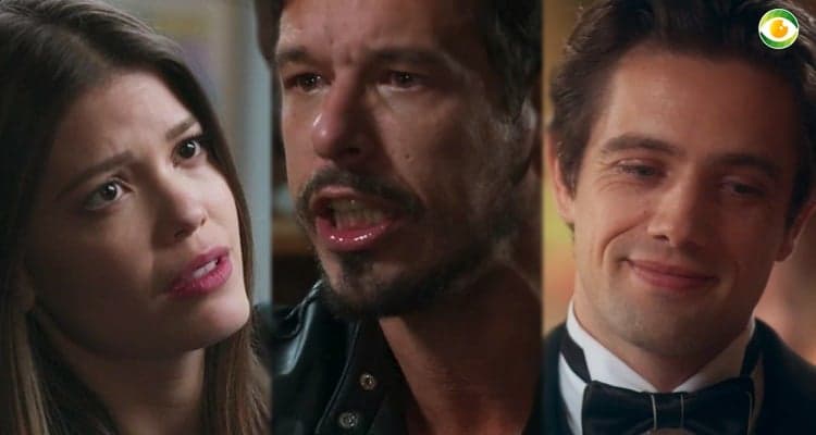 Cris Alain e Danilo em Espelho da VidaCris Alain e Danilo em Espelho da Vida (Foto: Montagem TV O Foco) Cris Alain e Danilo em Espelho da VidaCris Alain e Danilo em Espelho da Vida (Foto: Montagem TV O Foco)