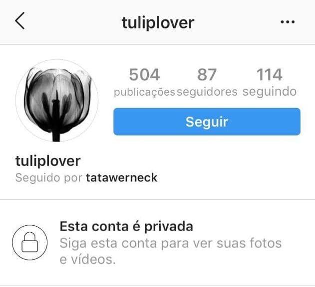 Imagem do post Imagem do post