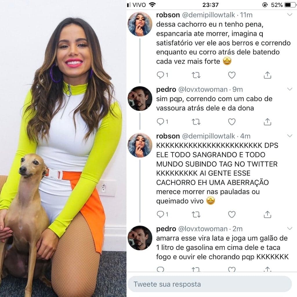 Imagem do post Imagem do post