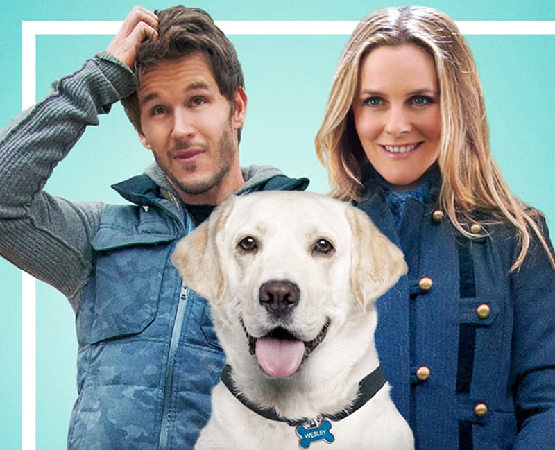 Filme Um Cachorro Para Dois (Foto: Reprodução) Filme Um Cachorro Para Dois (Foto: Reprodução)