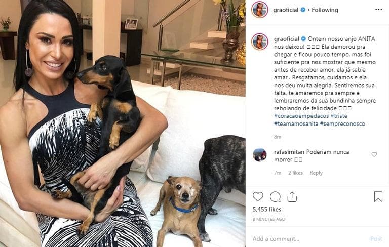 Gracyanne Barbosa e cantor Belo perdem animal de estimação e a musa fitness fez uma linda declaração em sua rede social ( Foto: Reprodução/ Instagram) Gracyanne Barbosa e cantor Belo perdem animal de estimação e a musa fitness fez uma linda declaração em sua rede social ( Foto: Reprodução/ Instagram)