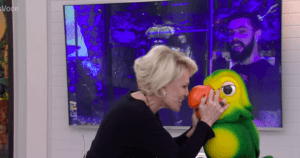Ana Maria Braga, Louro José Ana Maria Braga, Louro José