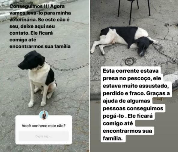 Imagem do post Imagem do post
