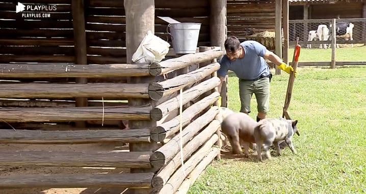 A Fazenda 2019: Jorge Sousa chama mulher de porca e atitude com animais choca
