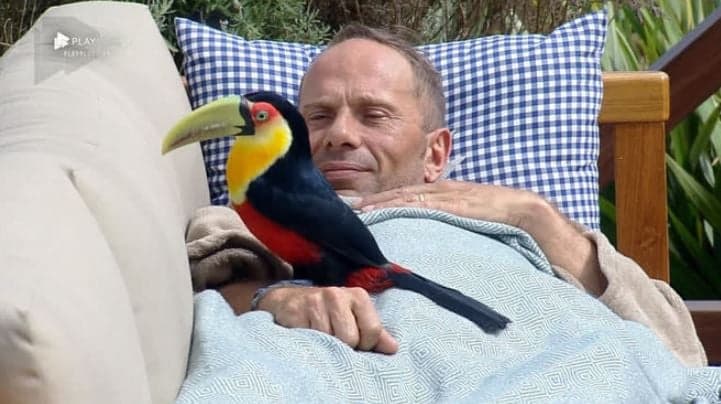 Rafael Ilha ganhou um tucano como parceiro no reality da Record TV (Reprodução: PlayPlus) Rafael Ilha ganhou um tucano como parceiro no reality da Record TV (Reprodução: PlayPlus)