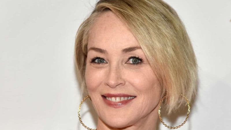 Sharon Stone posa apenas de calcinha aos 61 anos de idade (Foto: Reprodução) Sharon Stone posa apenas de calcinha aos 61 anos de idade (Foto: Reprodução)