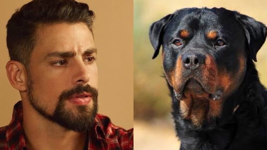 Cão da raça Rottweiler avança em Cauã Reymond e vídeo com o registro do momento é divulgado