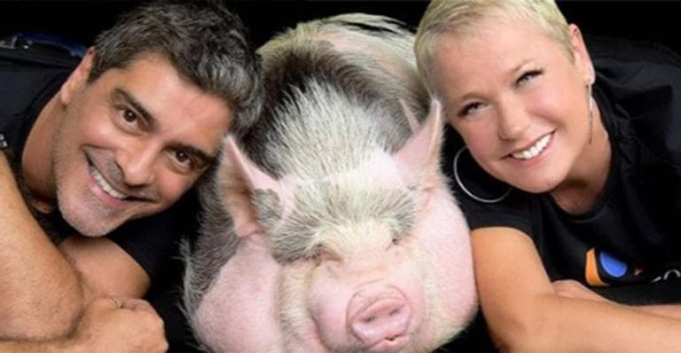 Xuxa Meneghel sugere aos seguidores ceia de Natal com menos carne animal. Foto:Reprodução Xuxa Meneghel sugere aos seguidores ceia de Natal com menos carne animal. Foto:Reprodução