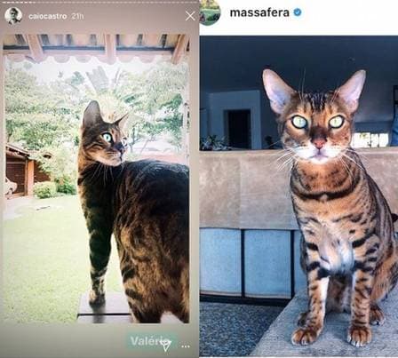 Imagem do post Imagem do post