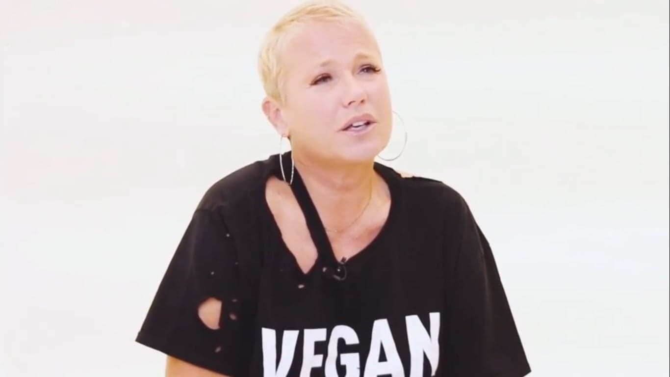 Xuxa; Rainha dos Baixinhos Xuxa; Rainha dos Baixinhos