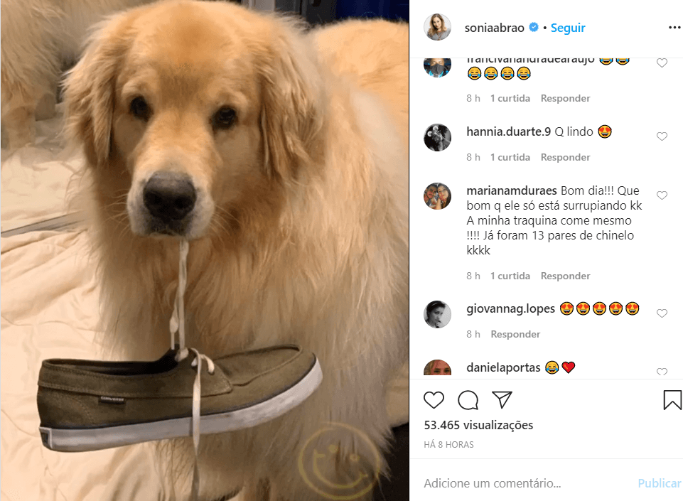 Imagem do post Imagem do post